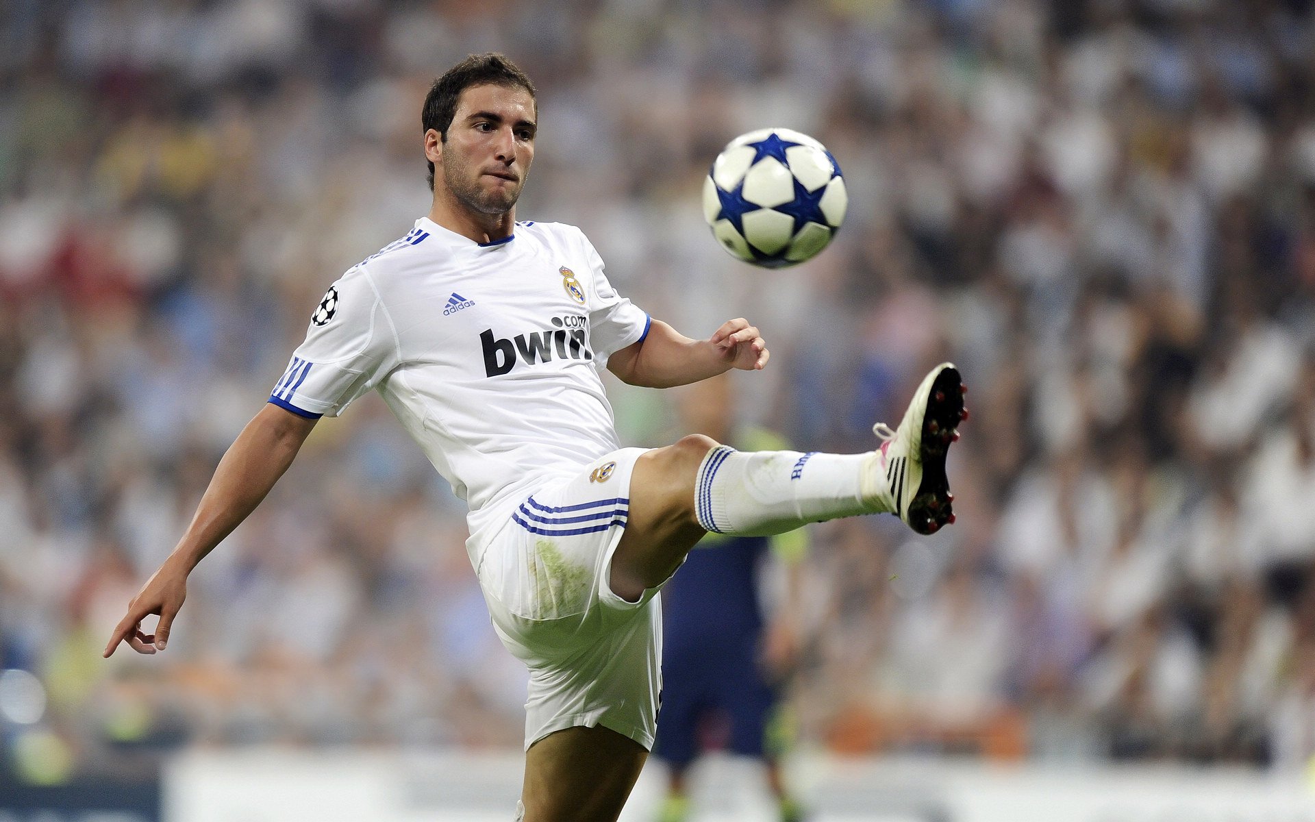 _老虎般的猛龙，鏖战到底笑到最后_，迅猛的老虎