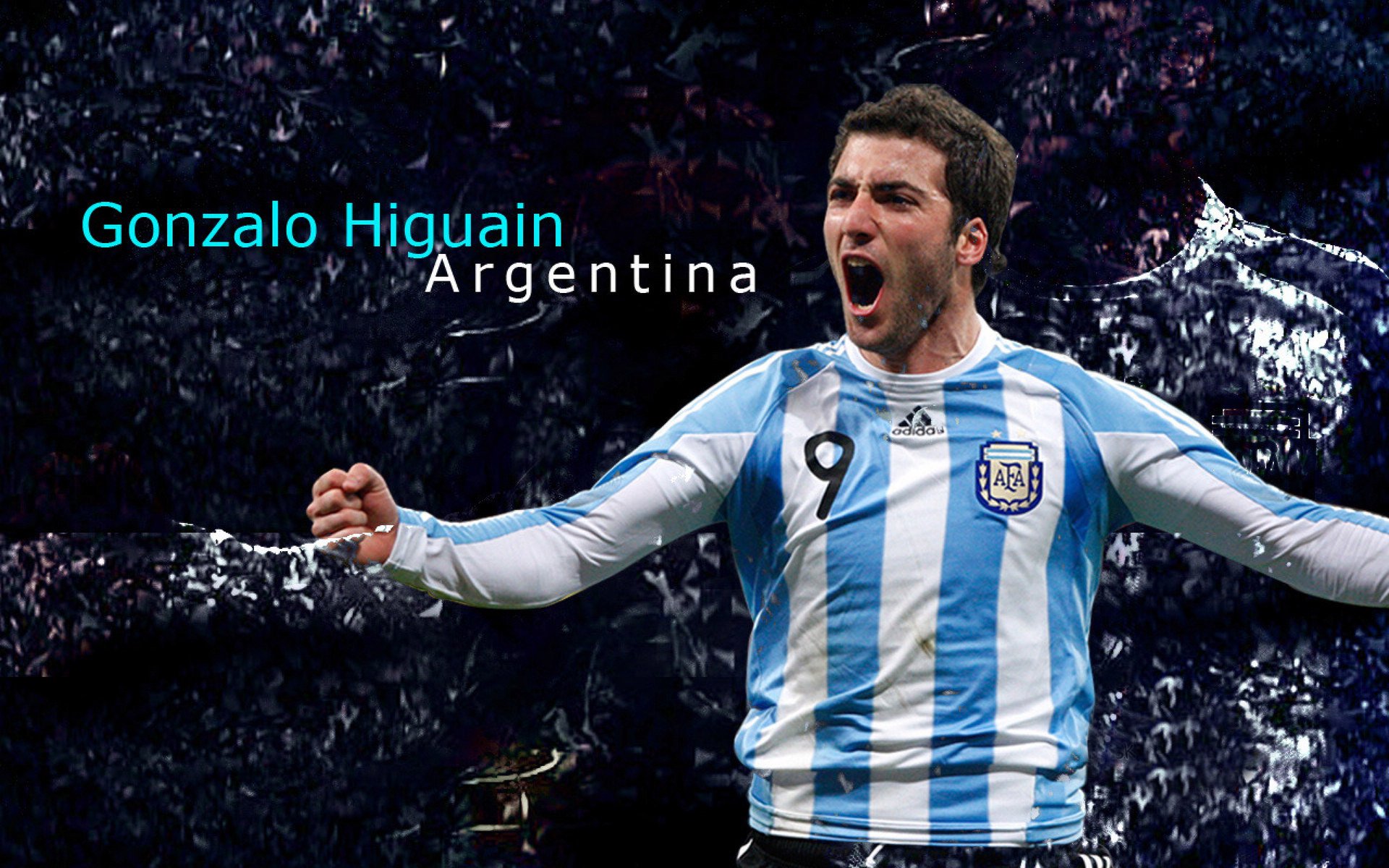 “雪地飙车：北极圈的冰雪战神”，极地雪橇车